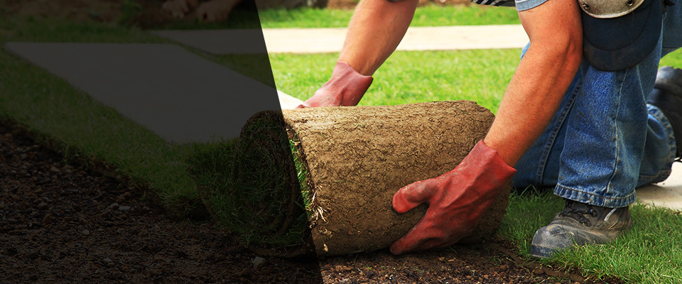 Sparta Landscapers